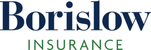 Borislow Insurance